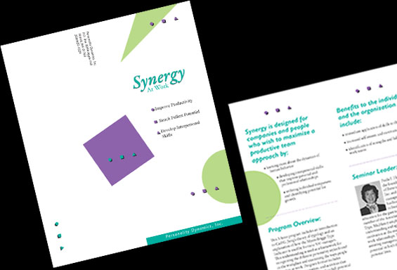 Synergy Brochure